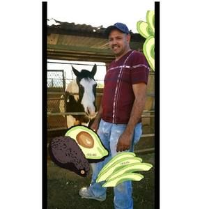 Meet your Posher, George